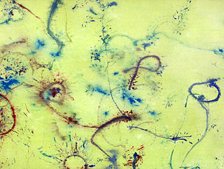 Illustration for article titled Entomologist creates one-of-kind paintings using live bugs as his paintbrush